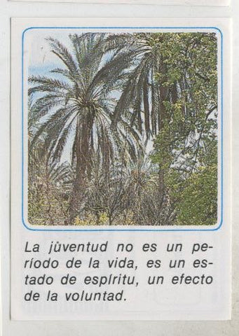 Cromos: Mensajes de Alegria numerado 21