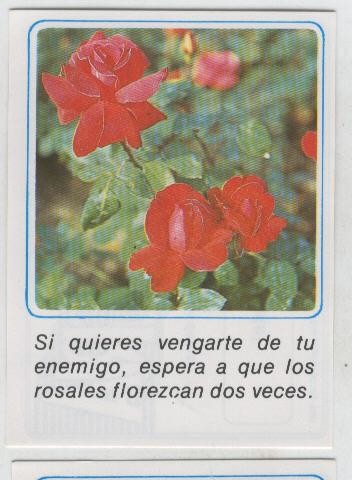 Cromos: Mensajes de Alegria numerado 05