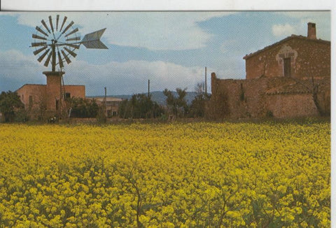Postal 008154: Granja Mallorquina