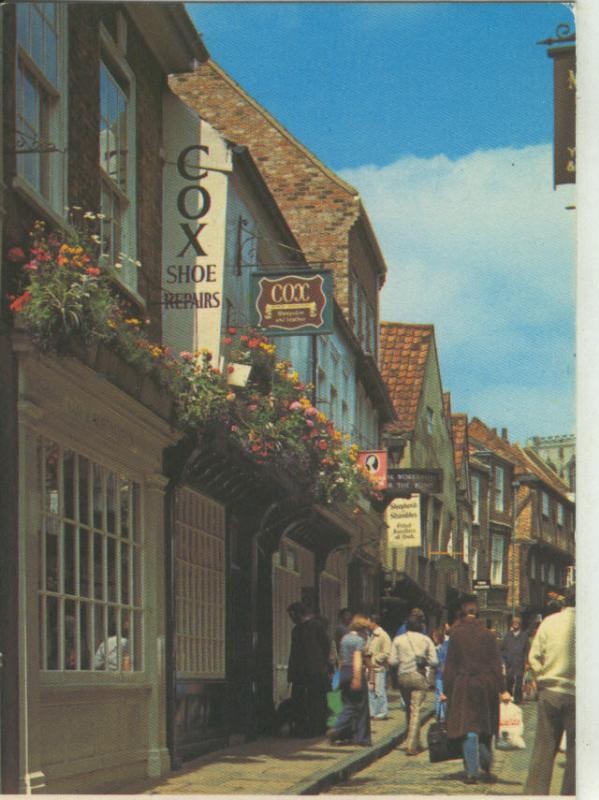 Postal 008344: The Shambles, Dork, Inglaterra
