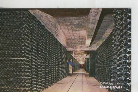 Postal 008418: Botellas envejeciendo en Cavas Codorniu