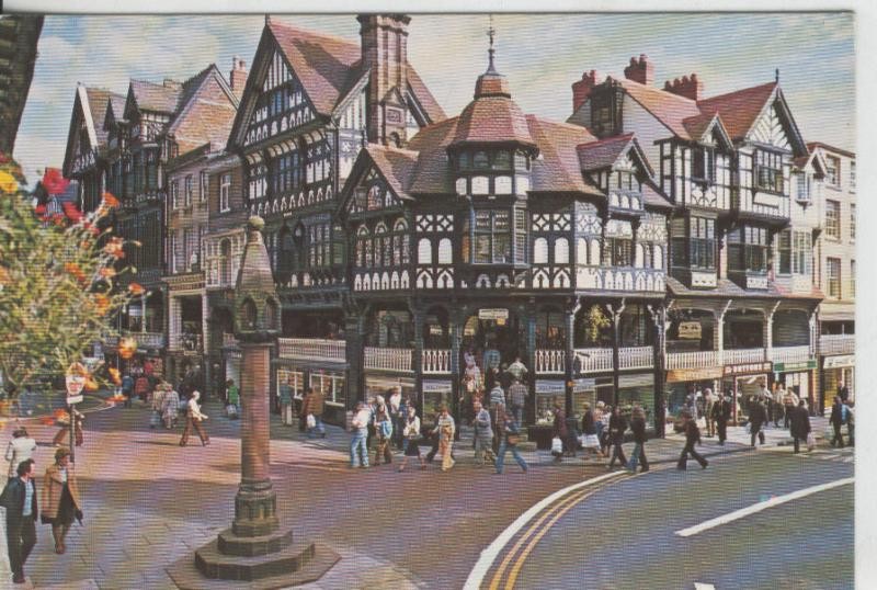 Postal 008474: Chester the cross