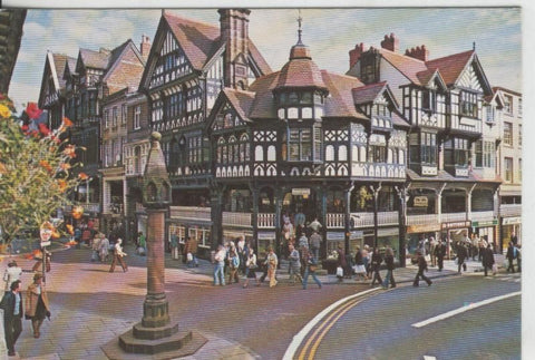 Postal 008474: Chester the cross