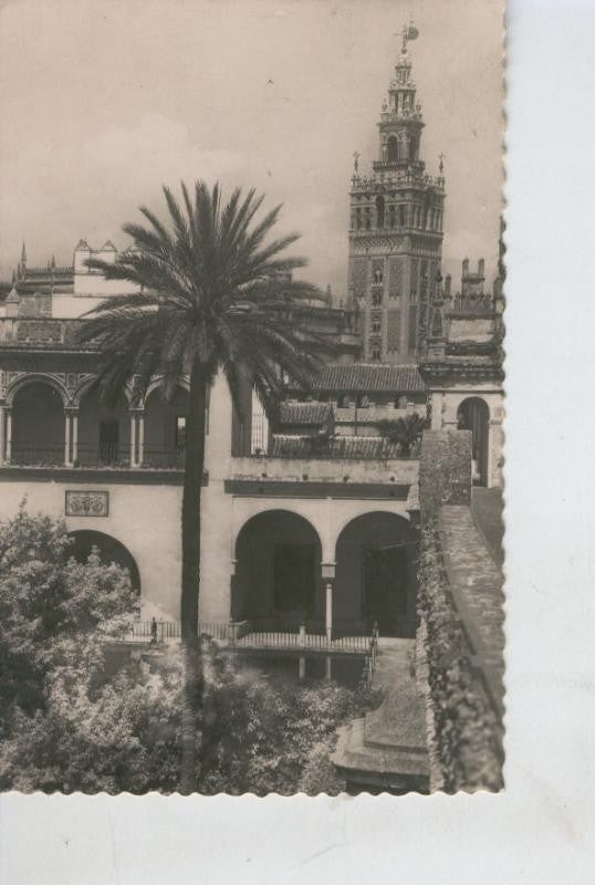Postal 008644 : Galeria del Rey Don Pedro de los Reales Alcazares de Sevilla