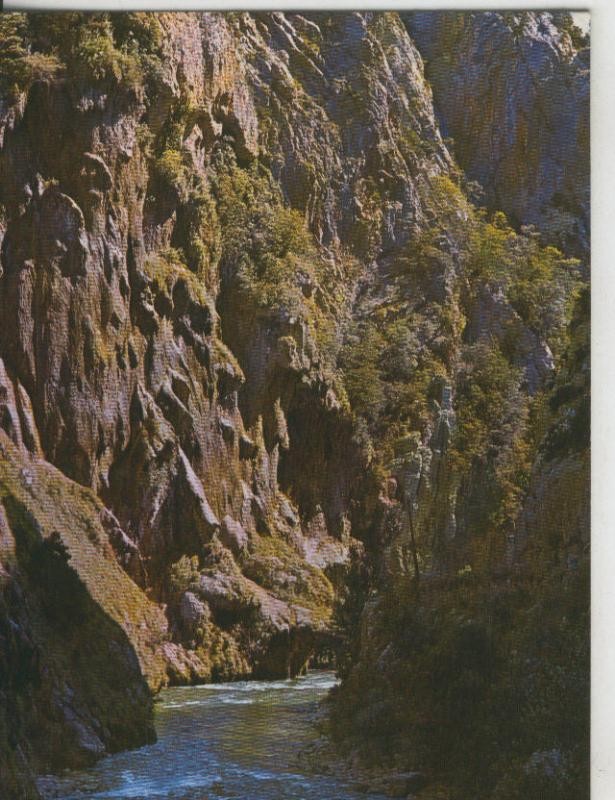 Postal 008772: Rio Noguera Pallaresa a Collagats en el pallars sobira