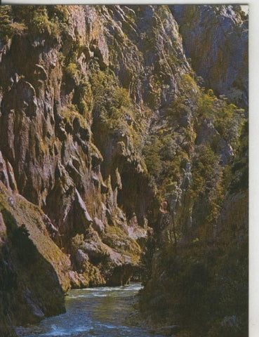 Postal 008772: Rio Noguera Pallaresa a Collagats en el pallars sobira
