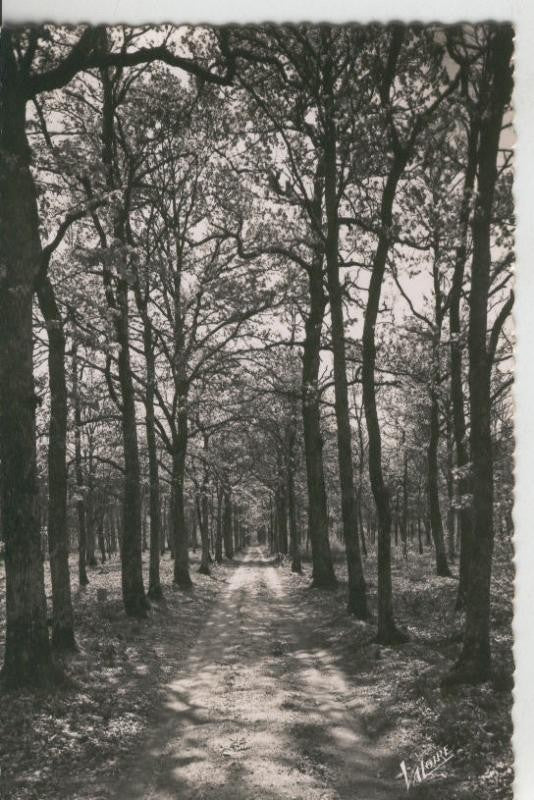 Postal 008923: Les merveilles du val de Loire. paysages de Sologne