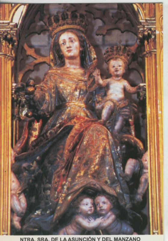 Postal 008961: Virgen Ntra Sra de la Asuncion y del Manzano, patrona de Fuenterrabia, Guipuzcoa