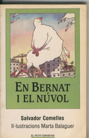 En Bernat i el nuvol