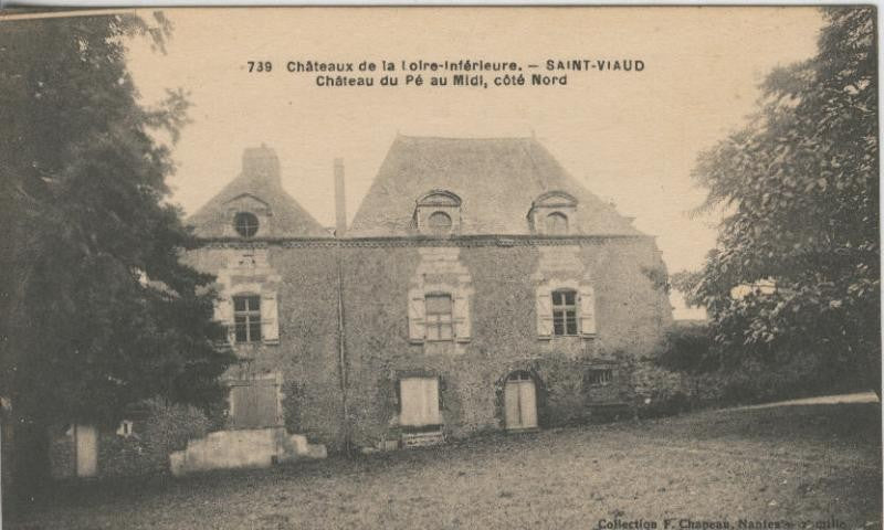 Postal 009080: Chateaux de la Loire-inferieure-Saint Viaud
