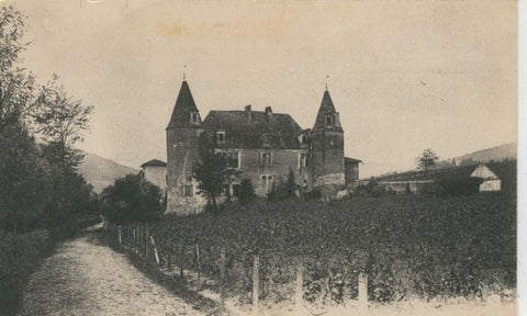 Postal 009087: Quincie (Rhone) - chateau de Lapalud