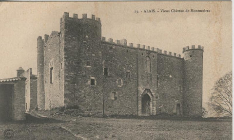 Postal 009088: Alais - vieux Chateau de Montmoirac