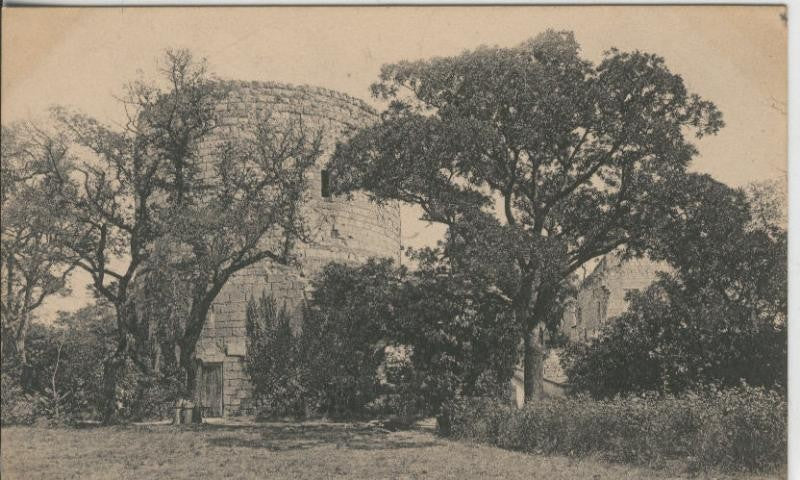 Postal 009089: Chinon-Le Chateau, tour du Coudray