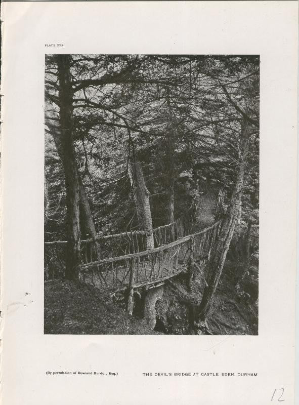 Jardines ingleses lamina 12: The Devils Bridge at Castle Eden, Durham