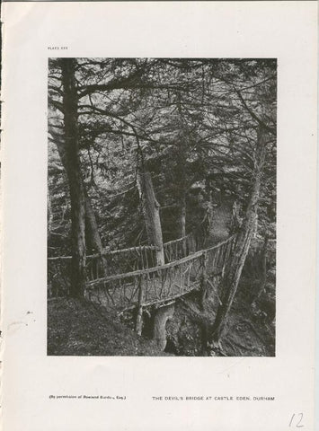Jardines ingleses lamina 12: The Devils Bridge at Castle Eden, Durham