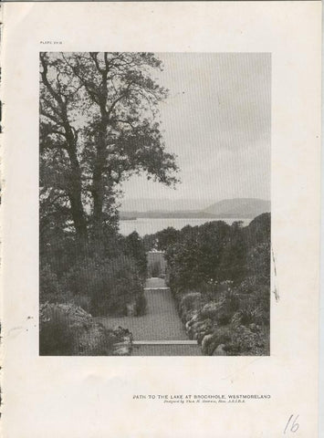 Jardines ingleses lamina 16: Path to the Lake at Brockhole, Westmoreland