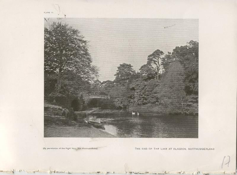 Jardines ingleses lamina 17: The end of the lake at Blagdon, Northumberland