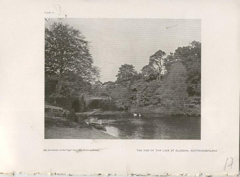 Jardines ingleses lamina 17: The end of the lake at Blagdon, Northumberland