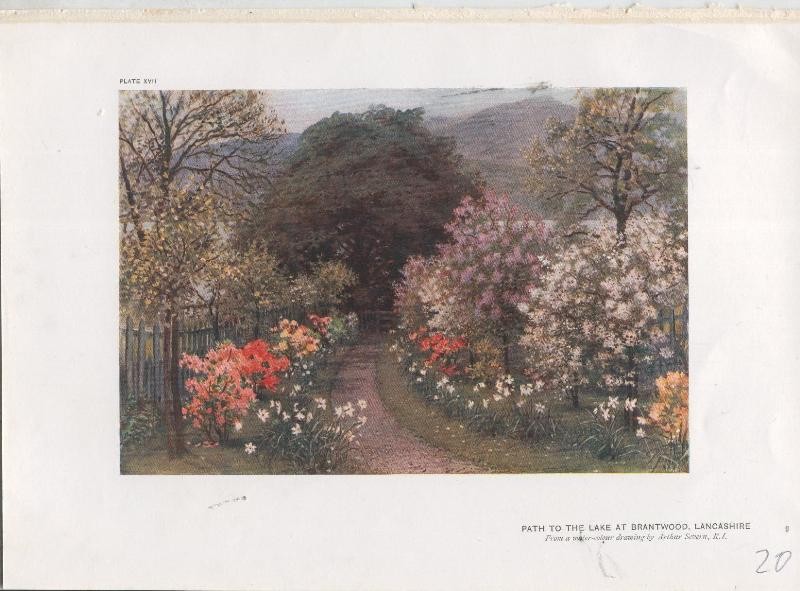 Jardines ingleses lamina 20: Path to the Lake at Brantwood, Lancashire
