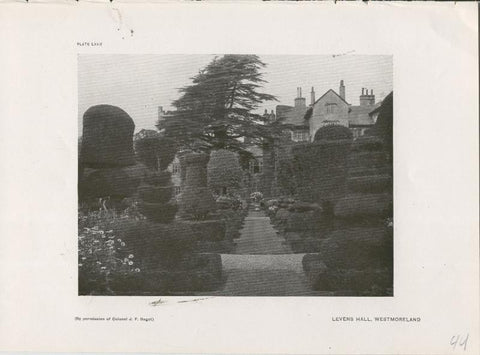 Jardines ingleses lamina 44: Levens hall, Westmoreland