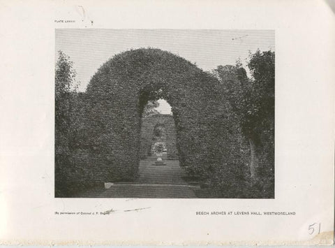 Jardines ingleses lamina 51: Beech Arches at Levens hall, Westmoreland