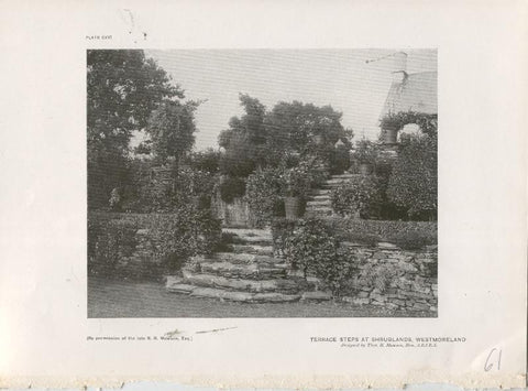 Jardines ingleses lamina 61: Terrace Steps at Shurblands, Westmoreland