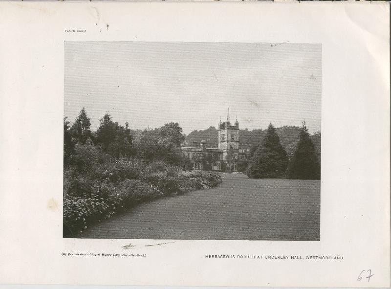 Jardines ingleses lamina 67: Herbaceous Border at Underley Hall, Westmoreland