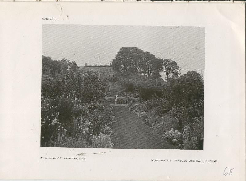 Jardines ingleses lamina 68: Grass Walk at Windlestone Hall, Durham