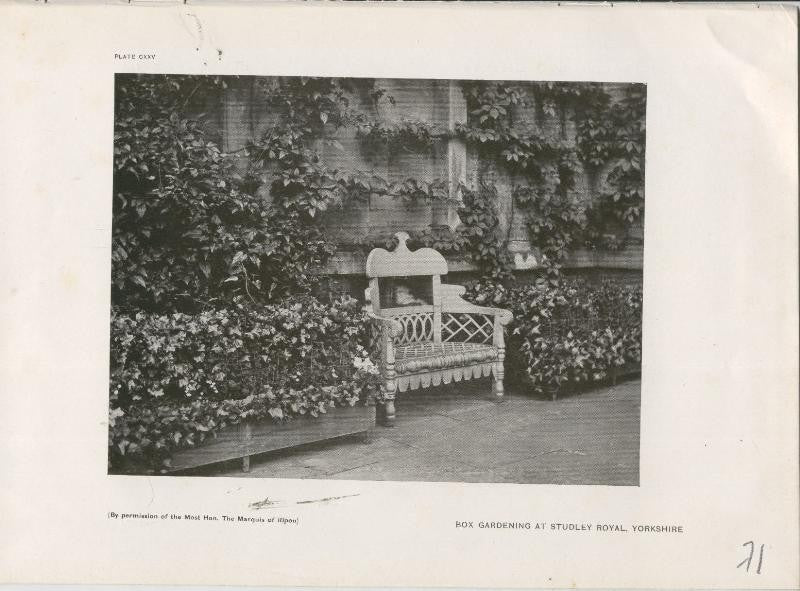 Jardines ingleses lamina 71: Box Gardening at Studley Royal, Yorkshire