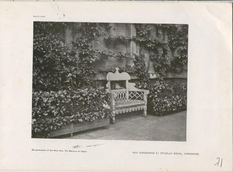 Jardines ingleses lamina 71: Box Gardening at Studley Royal, Yorkshire