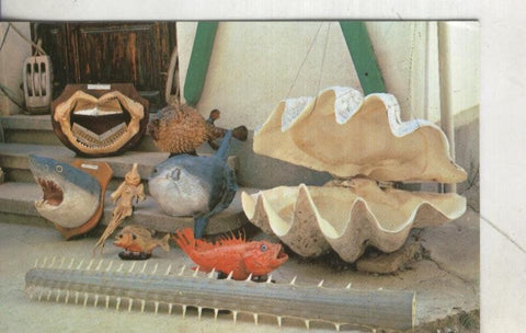 Postal 003962 : Museo de curiosidades marineras Roig Toques en Vilanova
