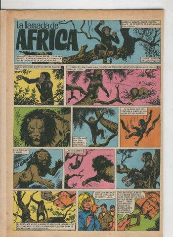 La llamada de Africa (Spadari)