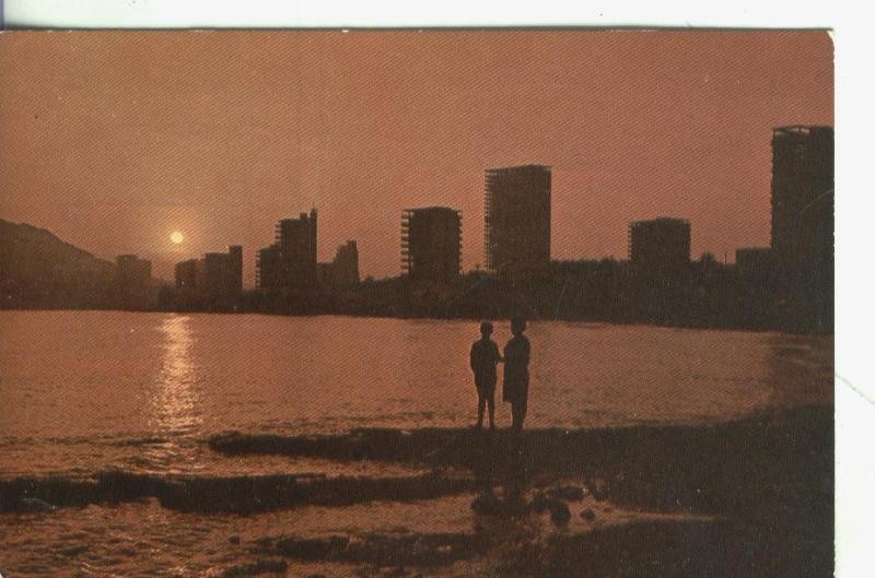 Postal 002944: Alicante: La Albufera