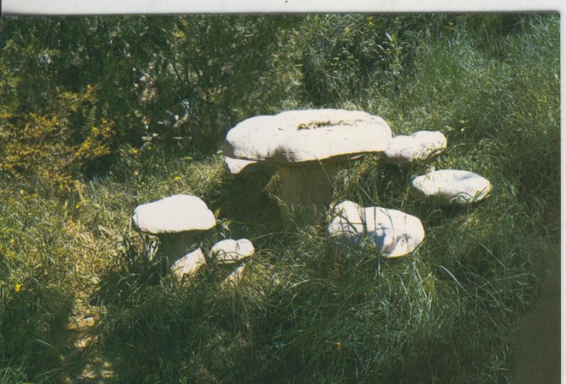 Postal 009155: Parque de la mare de la Font en Solsona