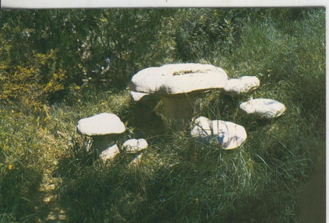 Postal 009155: Parque de la mare de la Font en Solsona