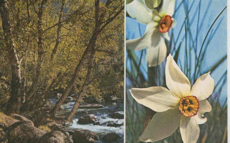 Postal 009157: Paisaje del Pallars Sobira