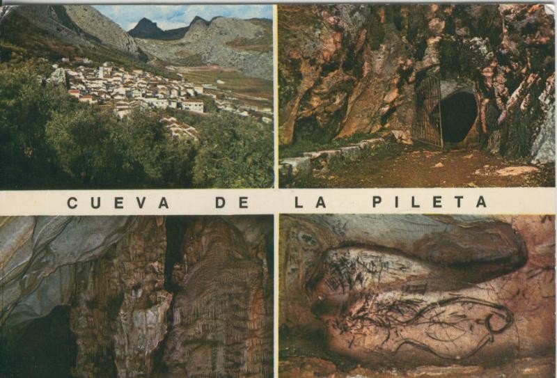 Postal 009404: Cueva de la Pileta, Benaojan, Malaga