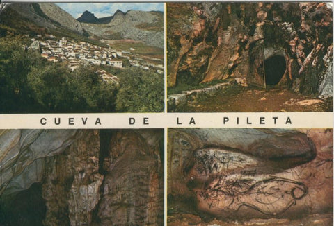 Postal 009404: Cueva de la Pileta, Benaojan, Malaga