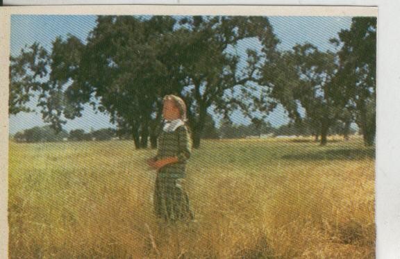 Cromos: Pollyanna numero 149
