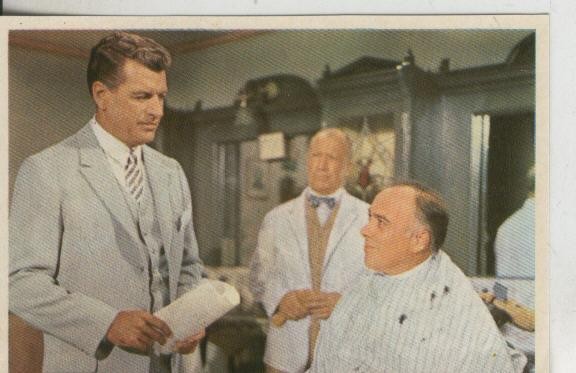 Cromos: Pollyanna numero 143