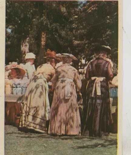 Cromos: Pollyanna numero 114