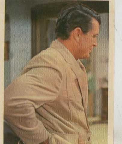 Cromos: Pollyanna numero 101