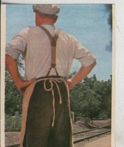Cromos: Pollyanna numero 010