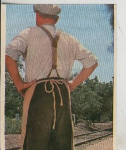 Cromos: Pollyanna numero 010