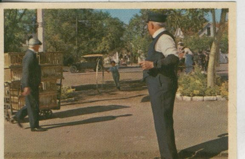 Cromos: Pollyanna numero 009