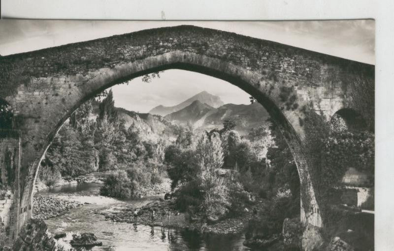 Postal 009565: Puente Romanico sobre el rio Selle en Cangas de Onis