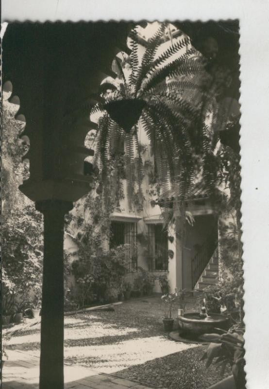 Postal 009590: Patio Cordobes en Cordoba