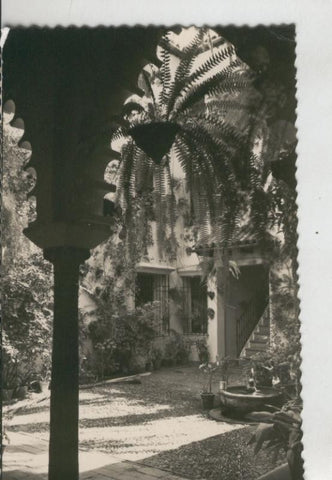 Postal 009590: Patio Cordobes en Cordoba