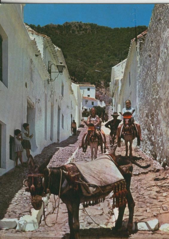 Postal 009947: Burritos tipicos de Malaga