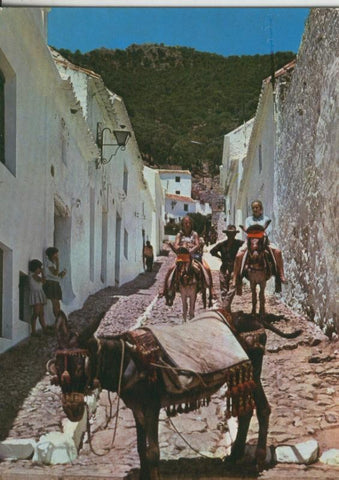 Postal 009947: Burritos tipicos de Malaga